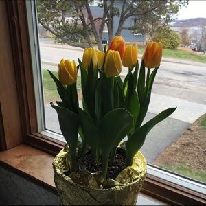 Meet your Posher, Kay