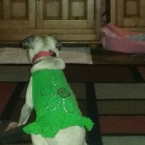 Meet your Posher, Susana