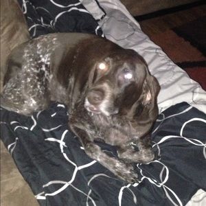 Meet your Posher, Jill