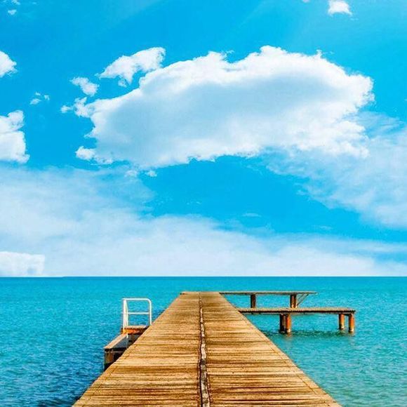 Meet your Posher, Claudia