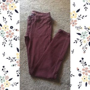 ❤️American Eagle Knit Jeggings❤️