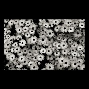 Meet your Posher, Bianca