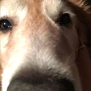 Meet your Posher, Terri