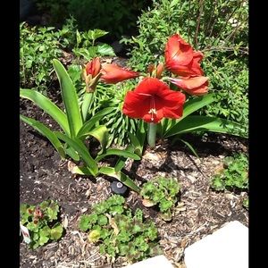 Meet your Posher, Jan