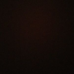 Meet your Posher, Bianca