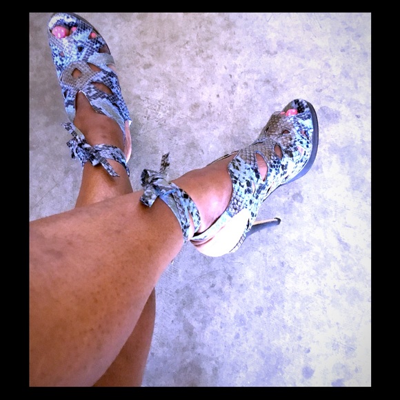 Snake skins