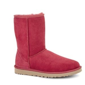 Burgundy Wine Classic Short UGG boots