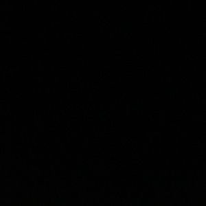 Meet your Posher, Maddie