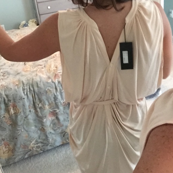 Alice Ritter dress - Picture 2 of 4