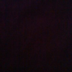 Meet your Posher, Lilia