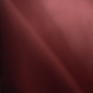 Meet your Posher, Chazney