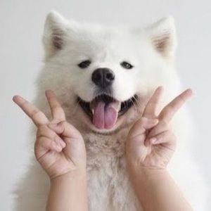 Meet your Posher, Carolyn