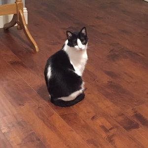 Meet your Posher, Susan