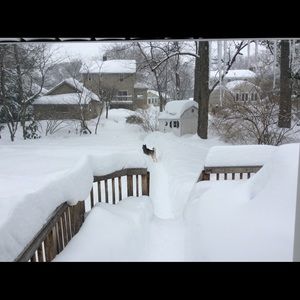 Meet your Posher, Bridget