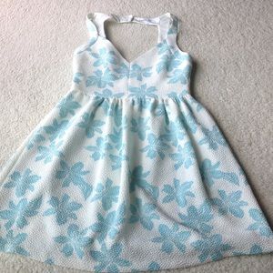 Zara Trafaluc Dress