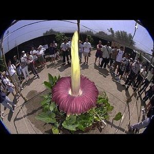 Meet your Posher, Deepu