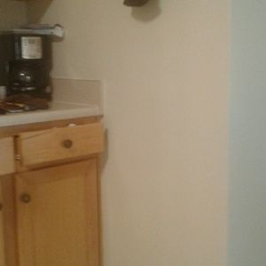 Meet your Posher, Caitlyn