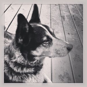 Meet your Posher, Karen