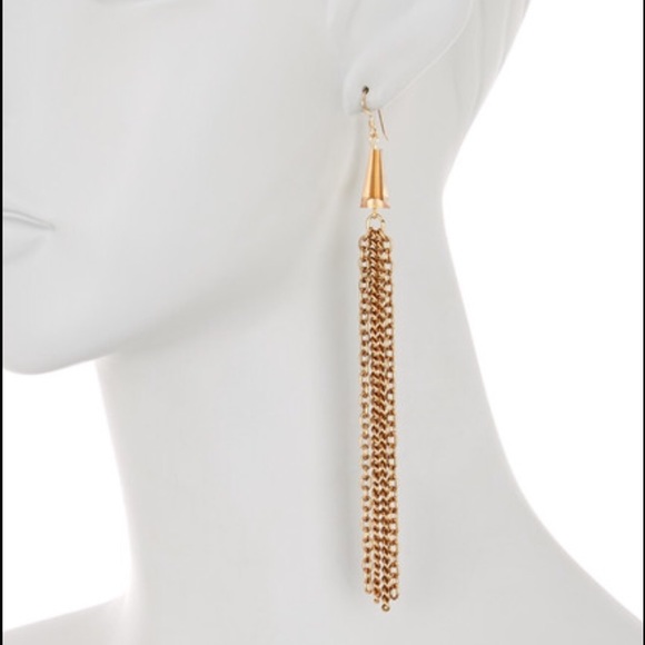 Alex & Ani Fringe Earrings!!!