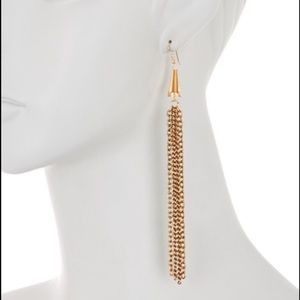 Alex & Ani Fringe Earrings!!!