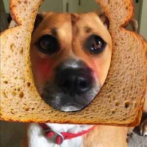 Meet your Posher, Andrea