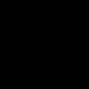 Meet your Posher, Lynn