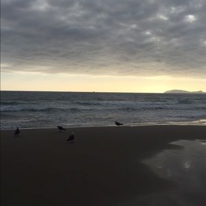 Meet your Posher, Jazmin