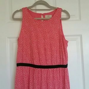 Ann Taylor LOFT dress