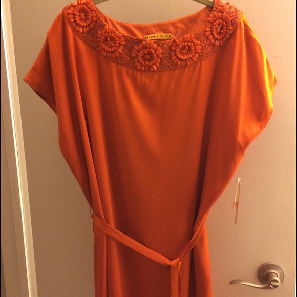 Beautiful silky dress with accent collar - Picture 3 of 4