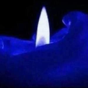 Meet your Posher, Pat