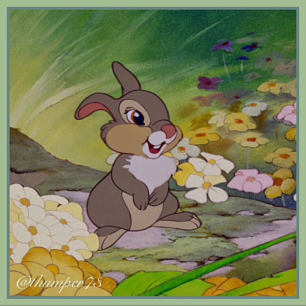 Meet your Posher, Thumper