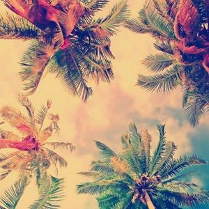 Meet your Posher, Aliyah