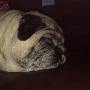 Meet your Posher, Joyce