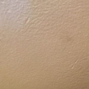 Meet your Posher, Charity