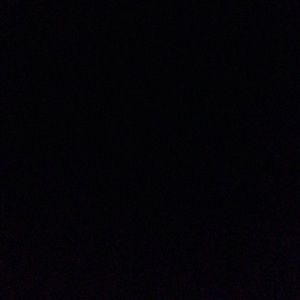 Meet your Posher, Bailey