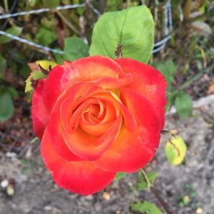 Meet your Posher, Meg