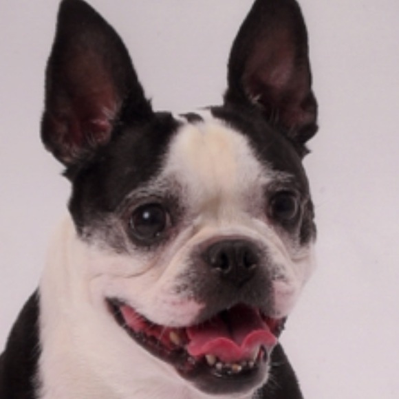 Meet your Posher, Meredith - Picture 1 of 1