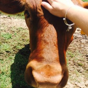 Meet your Posher, Jynn