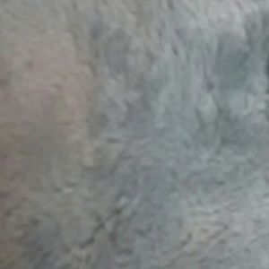 Meet your Posher, Hollie