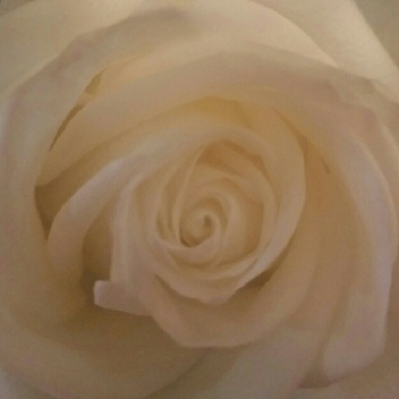 Meet your Posher, Lin - Picture 1 of 1