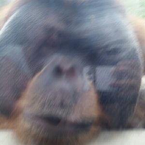 Meet your Posher, Jarrod