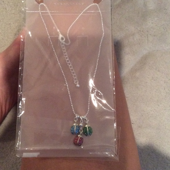 Lady bug necklace!
