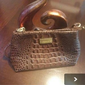 Brahmin anytime mini