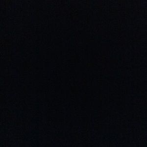 Meet your Posher, Griffin