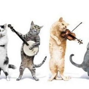 Meet your Posher, Jan