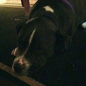 Meet your Posher, Sneza a