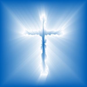 Meet your Posher, Lacy