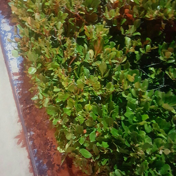 Meet your Posher, Aarin