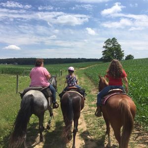 Meet your Posher, Cassidy