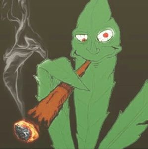 Meet your Posher, Alva